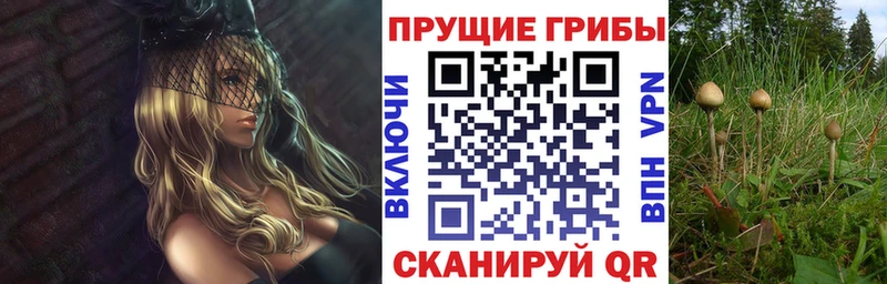 Галлюциногенные грибы мухоморы  MEGA как войти  Когалым 